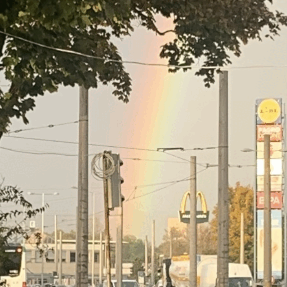 Collage by Patchanit Eva, 2025, CC BY 4.0, https://creativecommons.org/licenses/by/4.0/